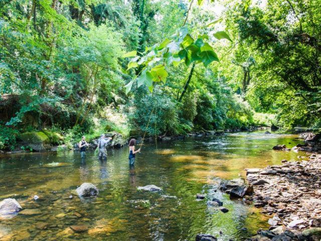 La Canopee Tonquedec Bagian luar foto